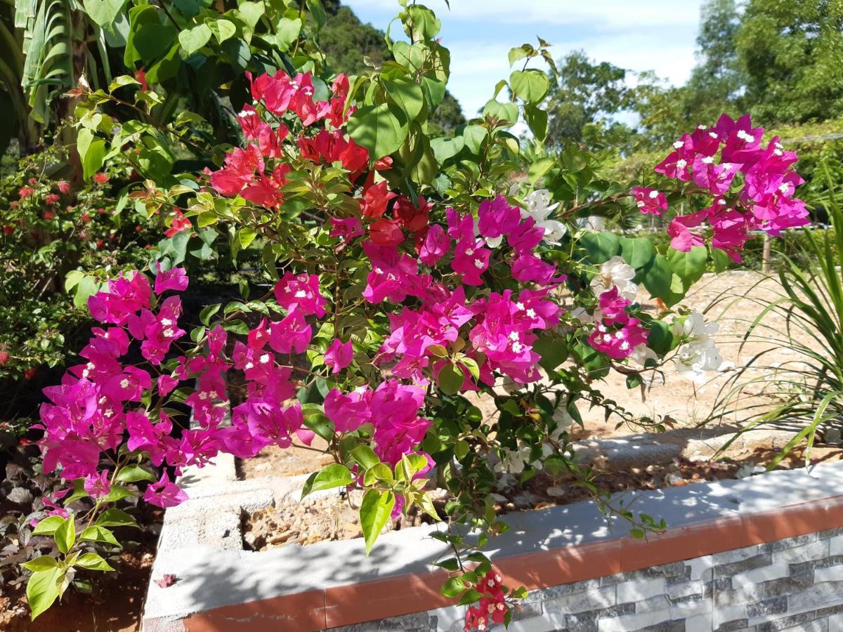 Phong Nha Bolero Bungalow Ngoại thất bức ảnh
