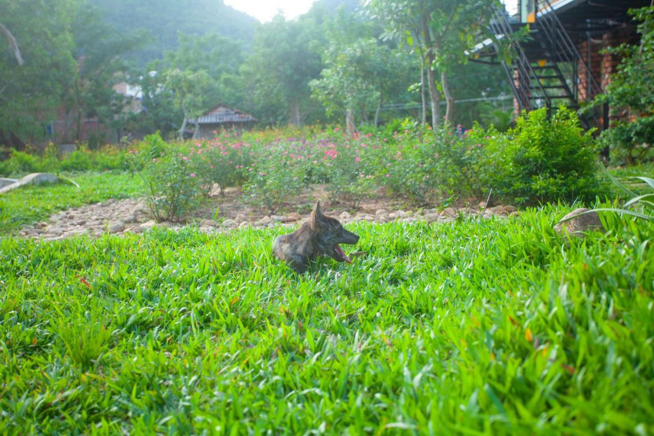 Phong Nha Bolero Bungalow Phòng bức ảnh